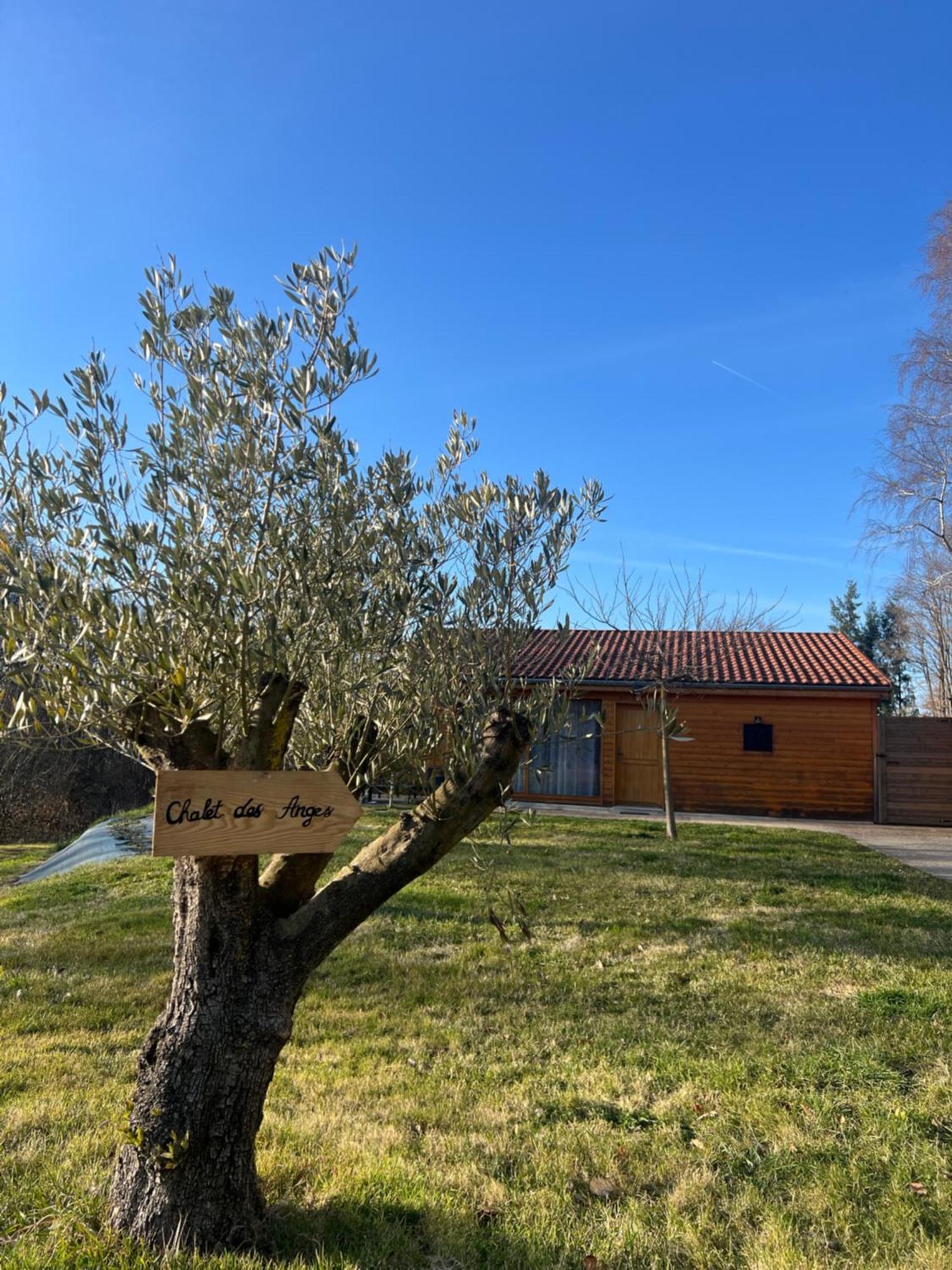 Chalet Des Anges Youx Bagian luar foto